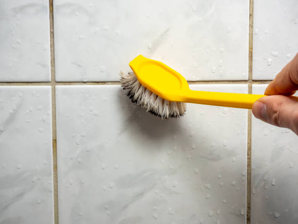 Best Black Mold Removal  in Boone, NC