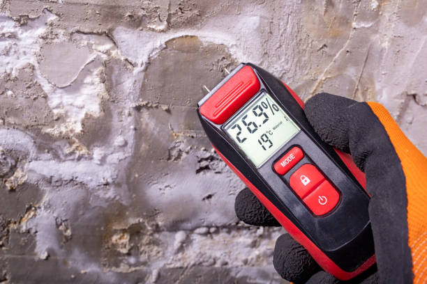 Best Residential Mold Removal  in Boone, NC